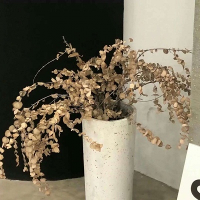 多伦福瑞交流群